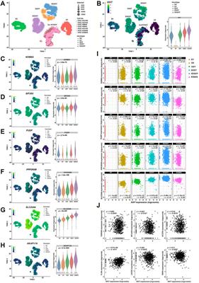 Pseudoautosomal Region 1 Overdosage Affects the Global Transcriptome in iPSCs From Patients With <mark class="highlighted">Klinefelter Syndrome</mark> and High-Grade X Chromosome Aneuploidies